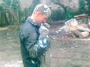 Śmieszne Filmiki Filmy Darmowe Gry Online Śmieszne Fotki