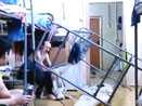 Śmieszne Filmiki Filmy Darmowe Gry Online Śmieszne Fotki